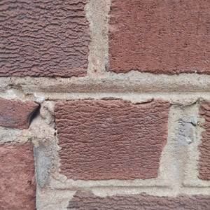 Meet your Posher, Krystal